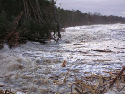 The great storm of January 2005 and its consequences