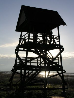 Birdwatching tower at Lake Lubans