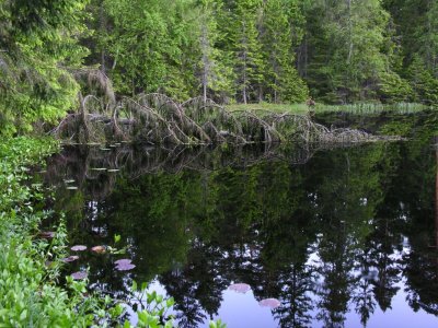 Lake near Talsi