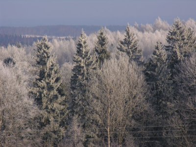 Milzukalns area