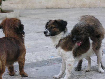 Heraklion