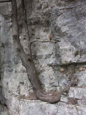 Imbros gorge