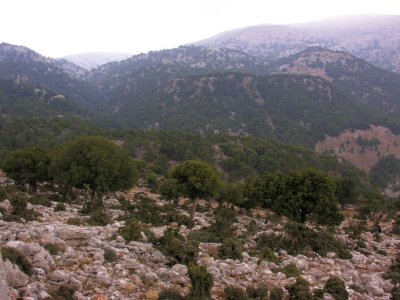 Katharo plateau