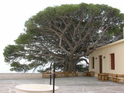 Moni Preveli