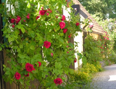 Visby in Gotland, Sweden
