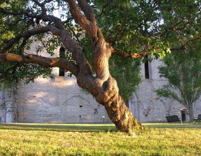 Visby in Gotland, Sweden