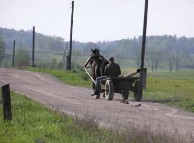 Vecsaliena area