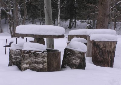 Winter scene