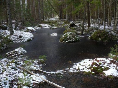 Slitere National Park, Latvia