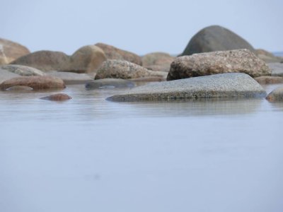 Seaside near Skulte, Latvia