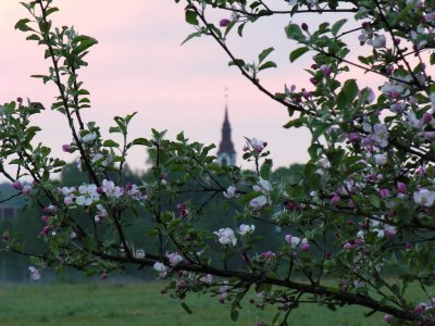 Ledurga, Latvia