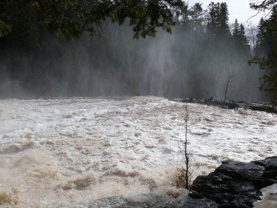 Gooseberry falls