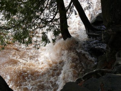 Gooseberry falls