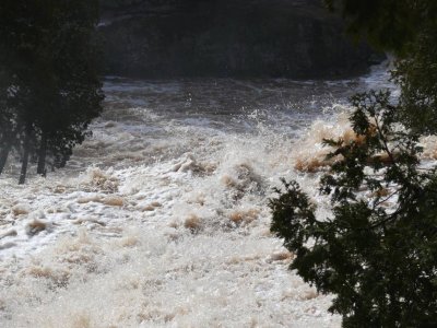 Gooseberry falls