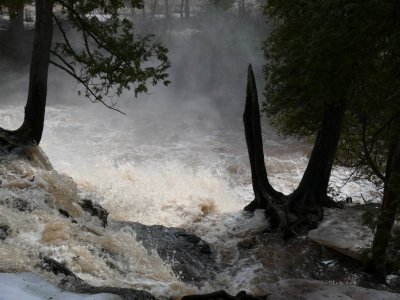 Gooseberry falls