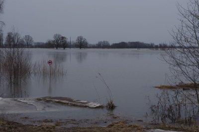 Svete floodplain