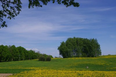 Kala lake near Vestiena