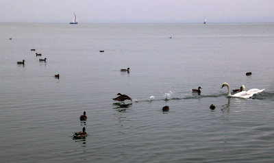 g3/17/947217/3/123038621.6mKDsdMa.jpg