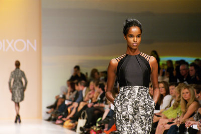 David Dixon 4