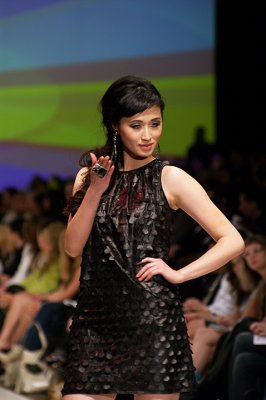 David Dixon Barbie 4