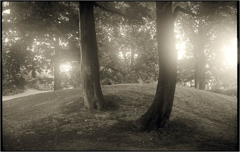 Argus C3 Wide angle35mm