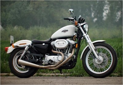Harley XL 1200 Sportster