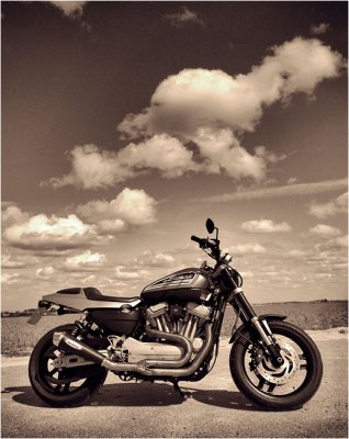 Harley Davidson XR 1200