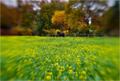 g3/18/13018/3/88596193.wkHrqIN4.jpg