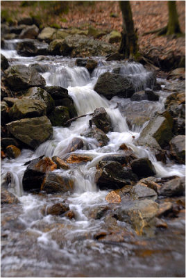 g3/18/13018/3/95503862.4cM7JRmq.jpg