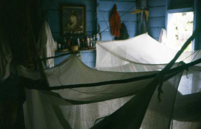 Rental House at Douglas-Hammocks with Mosquito Netting
