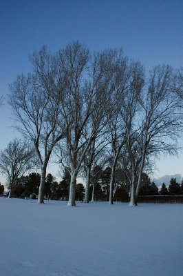 ez_DSC_3192.JPG