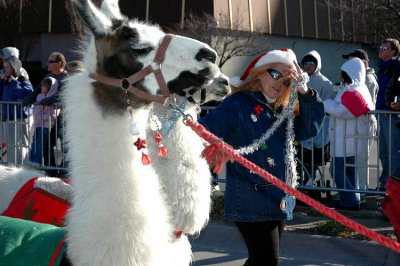 tn_DSC_7529.JPG