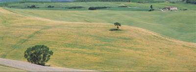 toscana