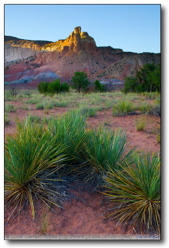 Several To One (Chimney Rock Ghost Ranch, NM)