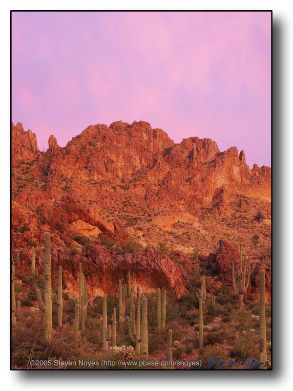 Superstitions : Hewitts Vivid Sunrise