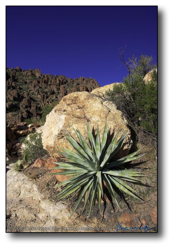 Superstitions : AZs Blue Skys