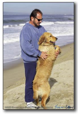 Dog Beach : Connection