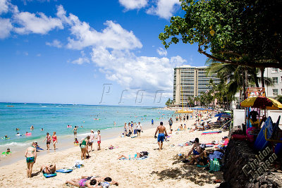 88627_Hawaii08__T4Y6154.jpg