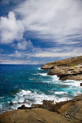 89559_Hawaii08__T4Y6793.jpg