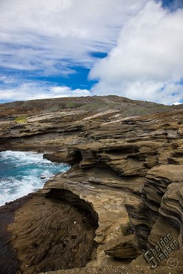 89571_Hawaii08__T4Y6805.jpg