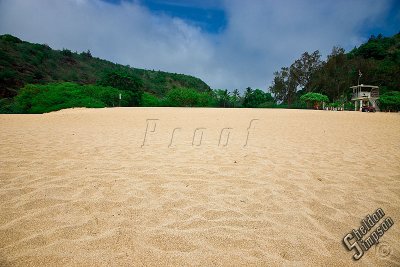 89756_Hawaii08__T4Y6990.jpg