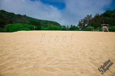 89756_Hawaii08__T4Y6990.jpg