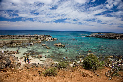 89966_Hawaii08__T4Y7088.jpg