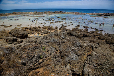 89992_Hawaii08__T4Y7114.jpg