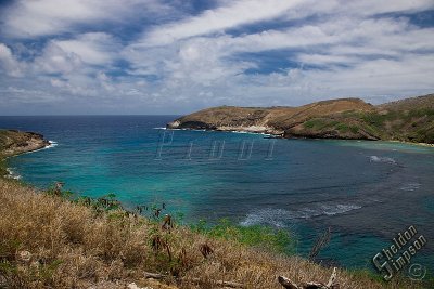90379_Hawaii08__T4Y7154.jpg