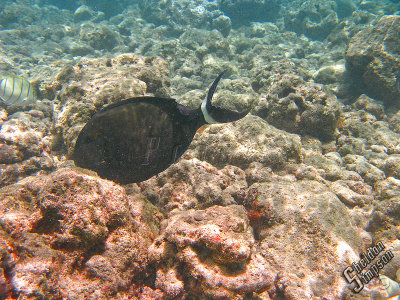 IMG_1165.jpg