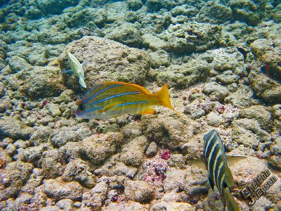 IMG_1169.jpg