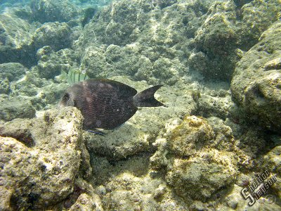 IMG_1174.jpg