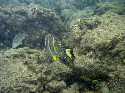 IMG_1186.jpg