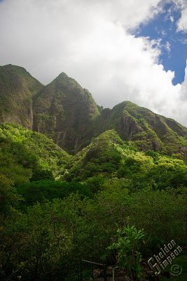 90648_Hawaii08_0T4Y7477.jpg